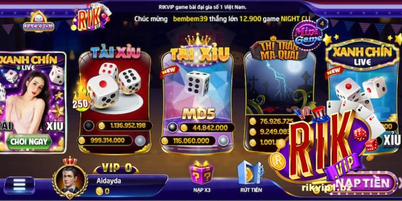 Tổng quan về Casino Rikvip